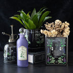 Poisonous Plants Plant Pot